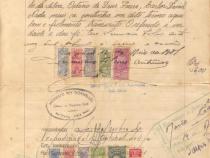 Certido de nascimento de Carmen